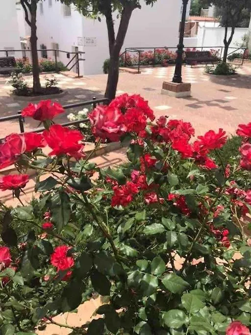 Apartment Silica Near Bonzana Square Benalmadena